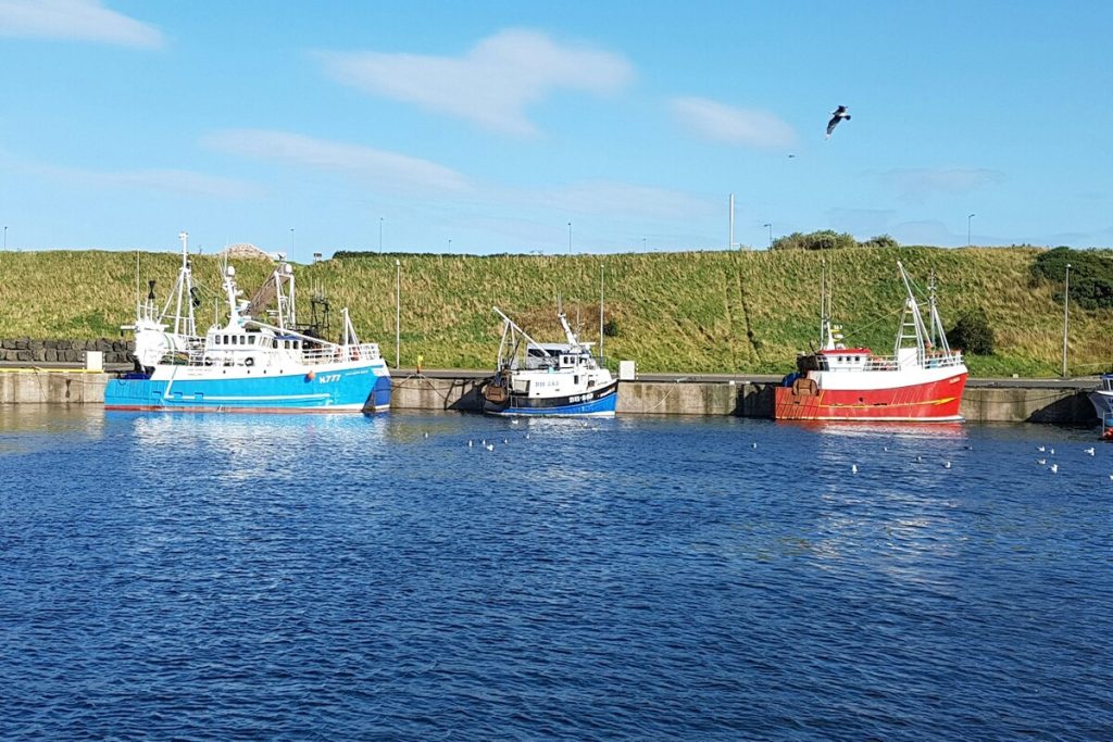 motorhome-eyemouth-harbour
